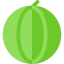 Watermelon icon 64x64