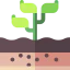 Sprout icon 64x64
