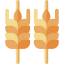 Wheat icon 64x64