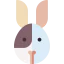 Bunny icon 64x64