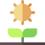 Sprout icon 64x64