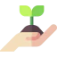 Sprout icon 64x64