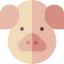 Pig icon 64x64