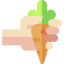 Carrot icon 64x64
