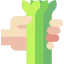 Vegetables іконка 64x64