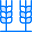 Wheat icon 64x64