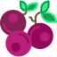 Blueberries icon 64x64