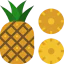 Pineapple icon 64x64