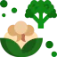 Cauliflower icon 64x64