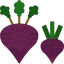 Beet icon 64x64