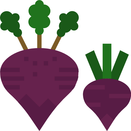 Beet icon
