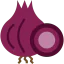 Onion icon 64x64