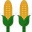 Corn icon 64x64