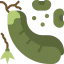 Beans icon 64x64