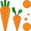 Carrot icon 64x64