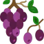 Grapes icon 64x64