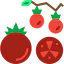 Tomato icon 64x64