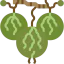 Gooseberry icon 64x64