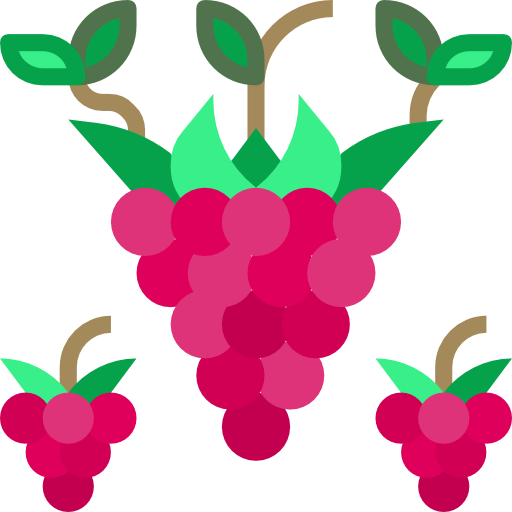 Raspberry Symbol