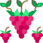 Raspberry 상 64x64