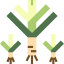 Leek icon 64x64