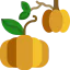 Pumpkin icon 64x64
