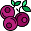 Blueberries icon 64x64