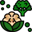 Cauliflower icon 64x64