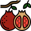 Pomegranate icon 64x64
