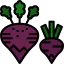 Beet icon 64x64