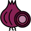 Onion icon 64x64