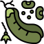 Beans icon 64x64