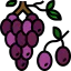 Grapes icon 64x64