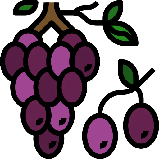Grapes icon