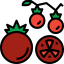Tomato icon 64x64