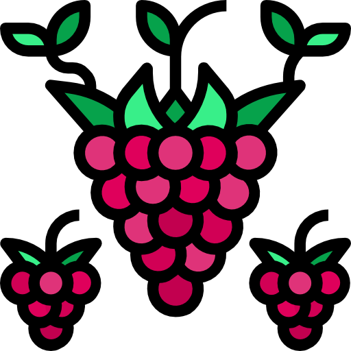 Raspberry icon