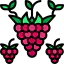 Raspberry 상 64x64