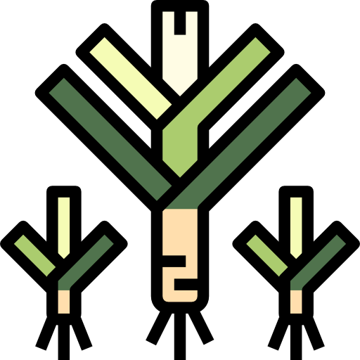 Leek icon