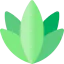 Agave icon 64x64