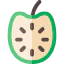 Guanabana icon 64x64