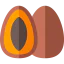 Mammee icon 64x64