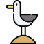 Seagull icon 64x64