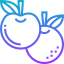 Fruit icon 64x64