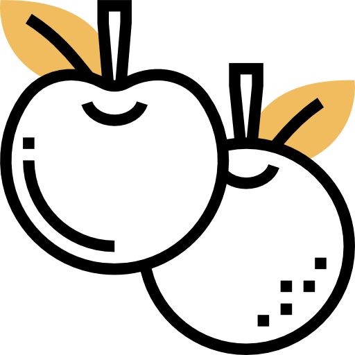 Fruit icon