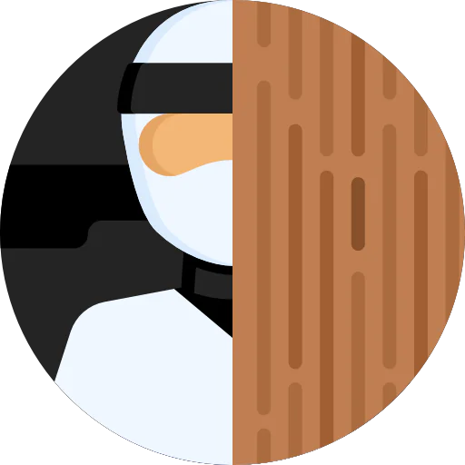 Ninja icon
