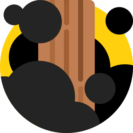 Ninja icon