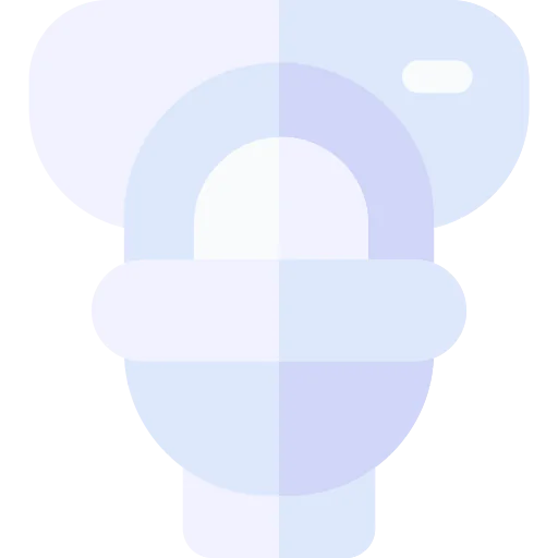 Wc icon