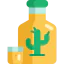 Tequila icon 64x64