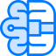 Brain icon 64x64