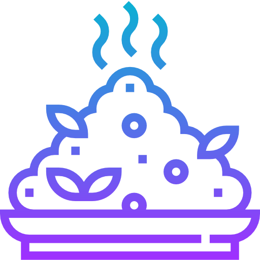Rice icon